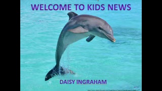 Daisy Ingraham Live Stream
