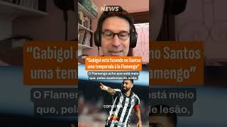 "GABIGOL ESTÁ FAZENDO NO SANTOS UMA TEMPORAA À LA FLAMENGO", DESTACA ARNALDO