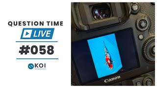 Koi Question Time LIVE #58