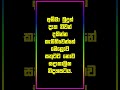 අම්මා බුදුන් දැක නිවන් දකින්න කැමතිවෙන්නේමෙලොව සතුටට නොවසදාකාලික නිදහසටය