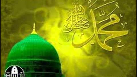 الجزء الرابع عشر من القرآن الكريم للشيخ حسن صالح