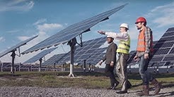 What landowners are saying about solar farms