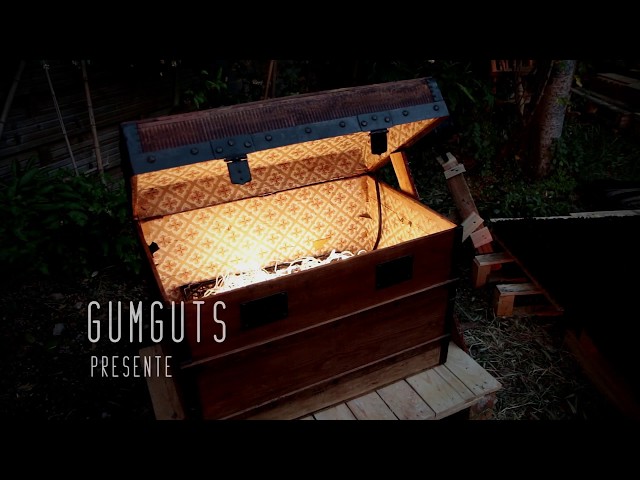 thumbnail img16x9