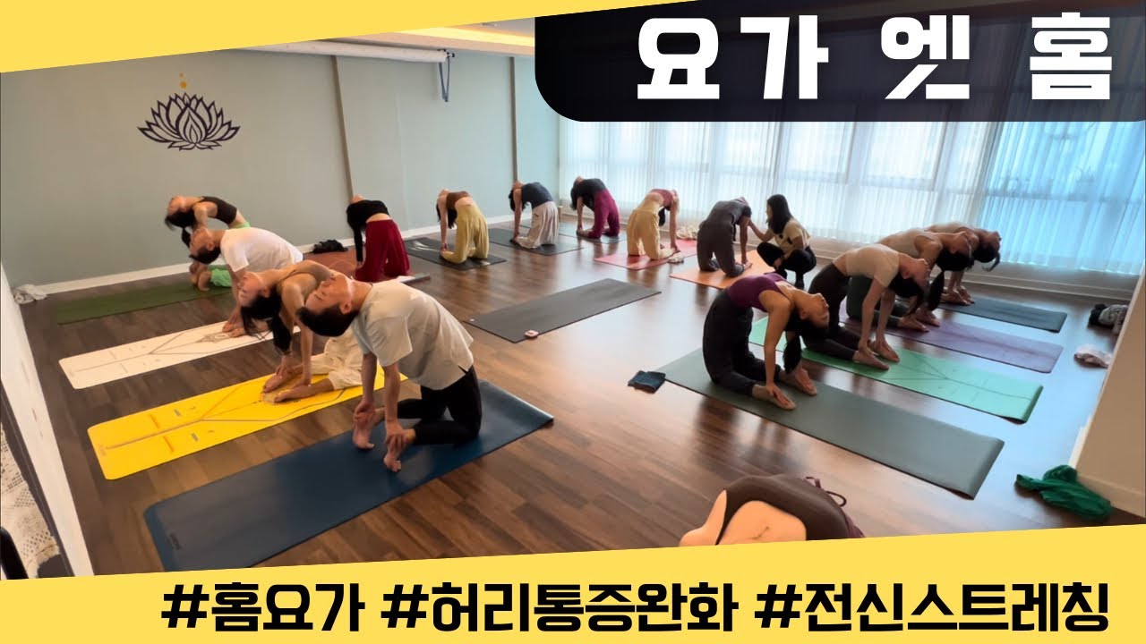 [엔젤요가] 홈요가 | 전신스트레칭 | 허리통증완화 | 굳은 몸, 시원하게 