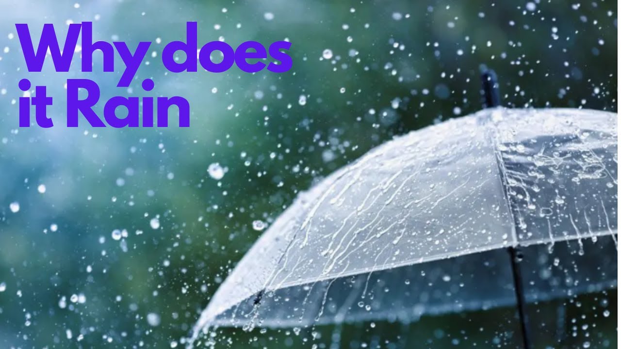 Why Is Raining Why does it rain - YouTube