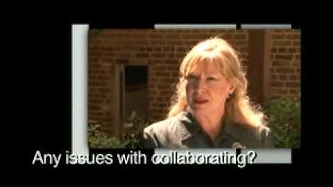 IBM Smart Work, introduction and collaboration