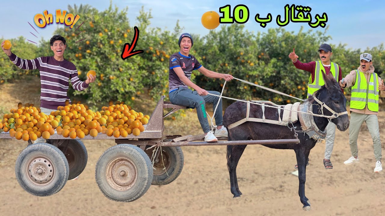 لما اخوك الصغير يسرق مزرعة البرتقال بتاعت الجيران بالعربية الكاروو🍊😂| علاء حسين