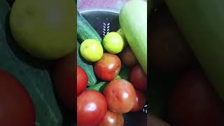 हथेलियों को देखना 🙏🏻