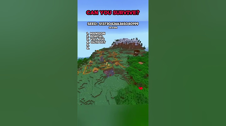 CAN YOU SPEEDRUN THIS SEED?