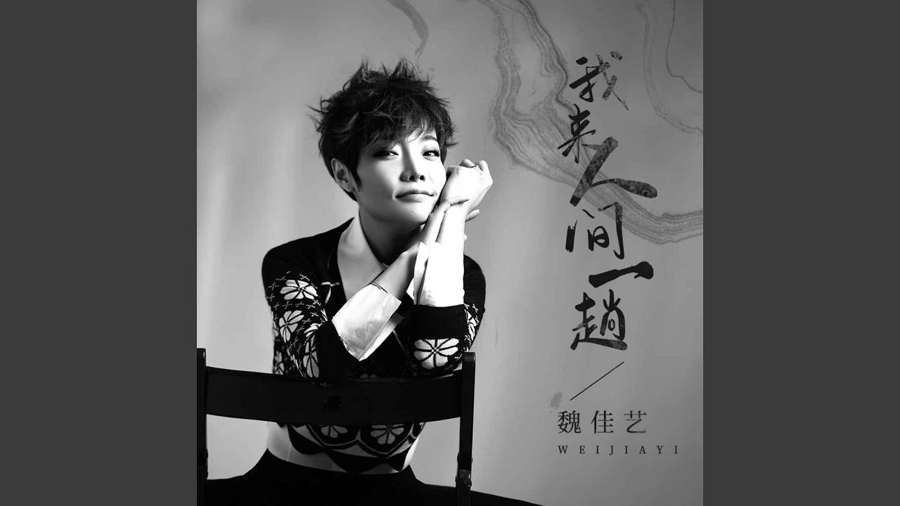 我来人间一趟