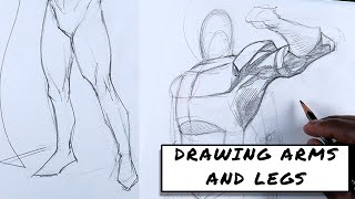 Drawing Arms and Legs