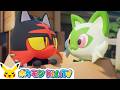 【ポケモン公式】ボックスパーティー ポケモン Kids TV