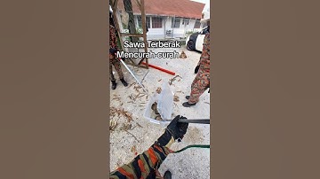 Ular Sawa Terberak mencurah-curah💩 #fireman #firefighter #reptiles  #firebrigade #firerescue