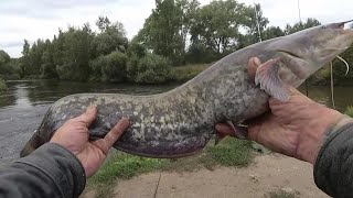 Ловля сома в черте города на реке Свислочь фидер Рыбалка в Беларуси 