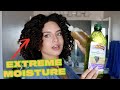 Oil Rinsing for EXTREME MOISTURE (w/ my own little twist!) | Low Porosity Type 4 Natural Hair