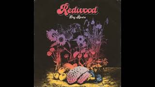 REDWOOD - Dry Rivers (EP 2024)