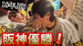 【阪神優勝】18年待った歓喜の瞬間 ！甲子園の阪神ファンが泣いた。