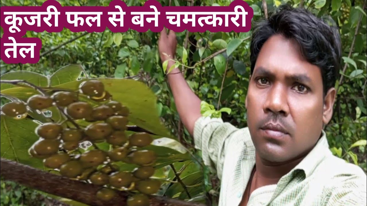 Kujri fal se bane chamtkari tel🍇#sahdewsvlog #dailyvlog #souravjoshivlogs 
