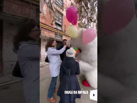 Мишаня прибежал без повода, просто #доставкарадости 🥳 #белыймишка #самара #белыймедведь #умка