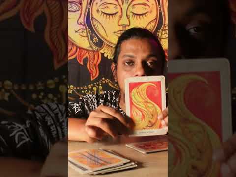 Princess of wands