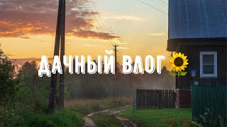 Дачный влог. Чем развлечься на даче?😁