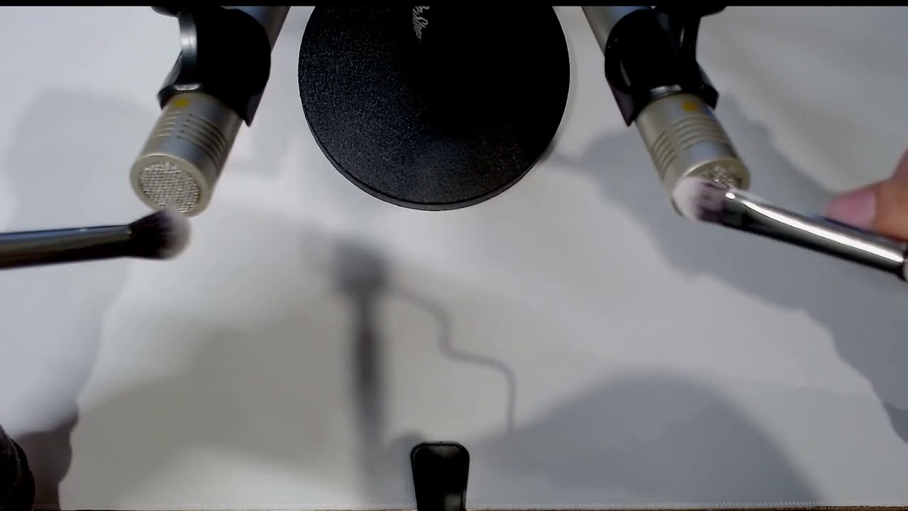 Brushing & Ear Cleaning ASMR (No Talking)