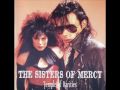 SISTERS OF MERCY I want more(Power mix)