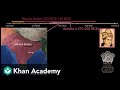 Chandragupta ashoka and the maurya empire   world history  khan academy