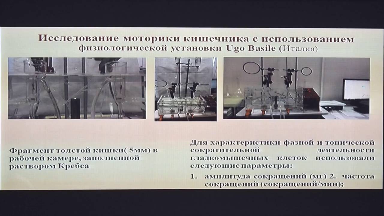 43Ермоленко ЕИ Влияние индигенных энтерококков на микробиоту и моторные функции кишечника при экспер