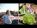 Что посеять в теплицу ранней весной? Подготовка грядок