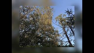 Mr Beans Holiday  Original Ost slowed