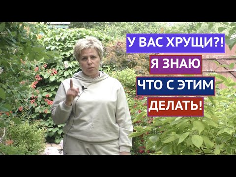 Видео: Борьба с июньскими жуками: как избавиться от июньских жуков