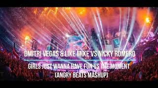 DV &amp; LM vs Nicky Romero - Girl Just Wanna Have Fun vs The Moment (Angry Beats Mashup)
