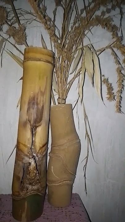 Download lagu #bamboopethuk #bamboocombongjalu #bamboogosatru #bambobelahrogo #bambouniknusantara #videoshort