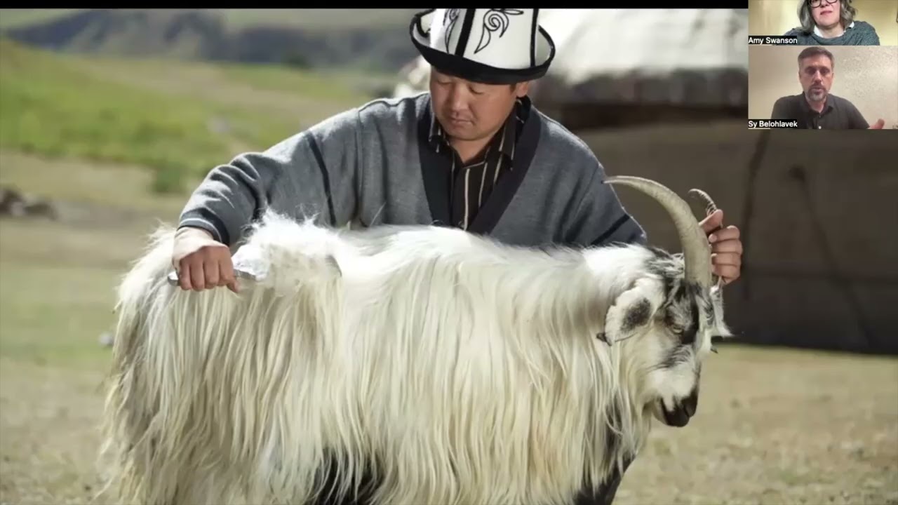 How work with shepherds began: an ethical cashmere company