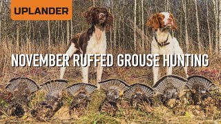 November Ruffed Grouse Hunting! Good Weather, Bad Weather, Porcupines and Migrating Woodcock