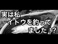 【尻別川】釣りあげた魚、、実はイトウでした