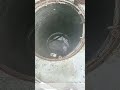 Trapped in the Drain: How Farmers Rescue Piglets With a High-Pressure Hose