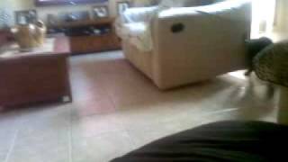 nala fit.mp4