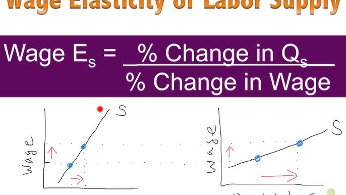 Wage Elasticity Of Labor Supply Interest Rate Elasticity Of Savings Youtube