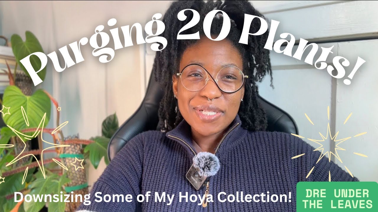 Purging 20 Plants 🌿 | Why I’m Letting These Hoyas Go