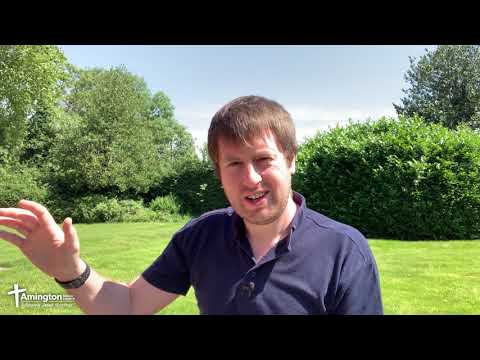 This Faydwynn.Morningstar Revelation Will Shock You