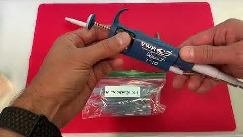 How to use an auto pipettor