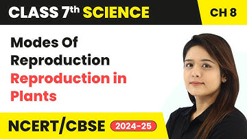 Modes of Reproduction - Reproduction in Plants | Class 7 Science Chapter 8 | CBSE 2024-25