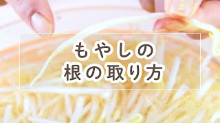 もやしのあたま モヤシの根の取り方【料理の基本】 - YouTube