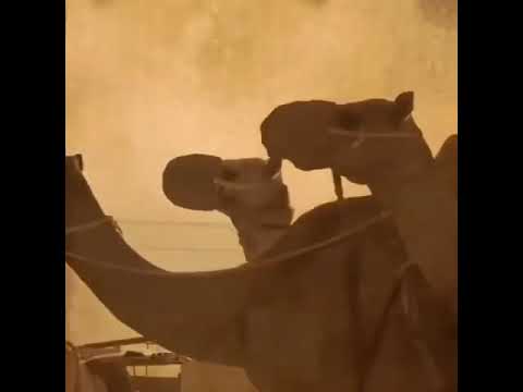 ٣١ أغسطس ٢٠٢١