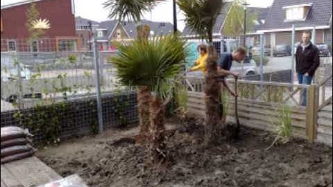 Curatio Tuinen Dalen - Lopik