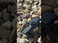 Scx30 on the rocks chilling