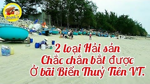 bắt hải sản trải nghiệm ở bãi biển Thuỷ Tiên Vũng Tàu: Mò Cua Bắt Ốc -TV.