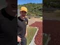 Felix in costa rica was ist natural processing